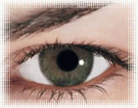 lentille de contact jade b&l soflens natural color