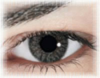 lentille de contact b&l platinium soflens natural color