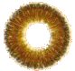 lentille de contact de couleur marron
