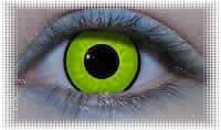 lentille deguisement carnaval crow