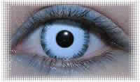 lentille deguisement carnaval
