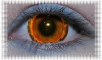 lentille deguisement carnaval raddus