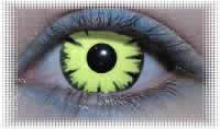 lentille deguisement carnaval woodland