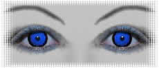 lentilles pour  deguisement carnaval yeux dark elf