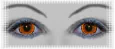 lentilles pour  deguisement carnaval yeux raddus