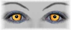 lentilles pour deguisement carnaval yeux raven