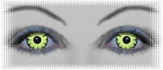 lentilles pour deguisement carnaval yeux woodland
