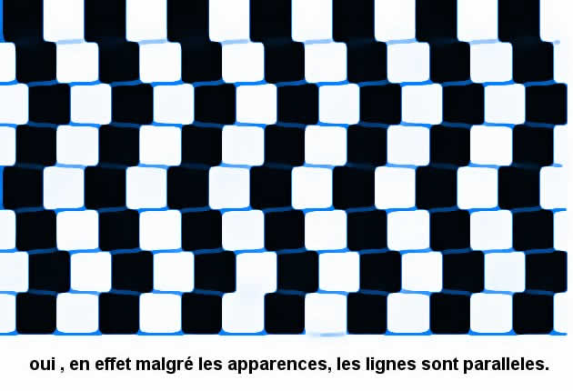 L'image “http://www.opticien-lentilles.com/illusions/illusion_optique_fausses_paralleles.jpg” ne peut être affichée car elle contient des erreurs.