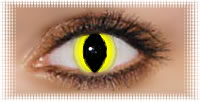 oeil lentille ciba vision wild eyes cat eye