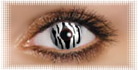 oeil lentille ciba vision wildeyes zebra