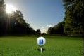 balle de golf sur un tee