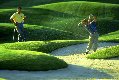 sorie de bunker golf