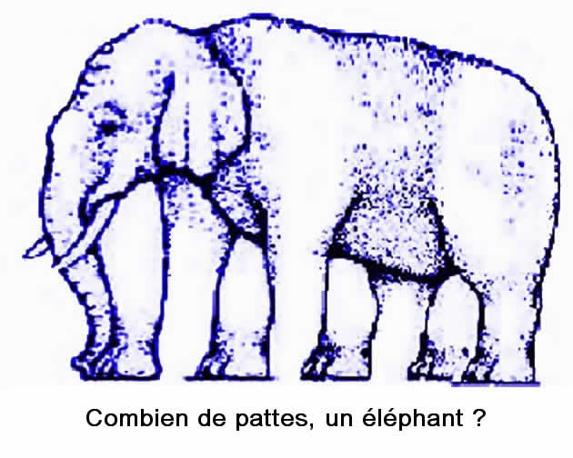 illusion d'optique un elephant bleu