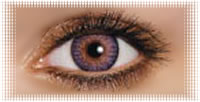 oeil lentille ciba freshlook colorblend amethyste