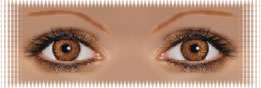 visuel regard lentilles ciba freshlook colorblends ambre honey