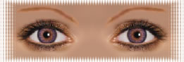 visuel regard lentilles ciba freshlook colorblends amethyste
