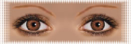 visuel regard lentilles ciba colorblends freshlook cannelle brown
