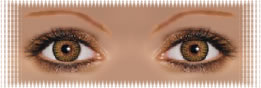 visuel regard lentilles ciba freshlook colorblends caramel pure hazel