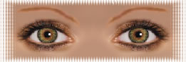 visuel regard lentilles ciba colorblends vert amande green