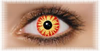 oeil lentille ciba vision wildeyes wild fire