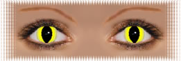 visuel regard lentilles ciba vision cat eyes