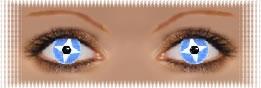 visuel regard lentilles ciba wild eyes ice fire