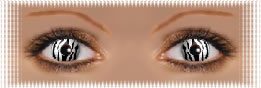 visuel regard lentilles ciba vision wild eyes zebra
