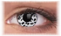 oeil colourvue crazy  white leopard