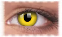 oeil colourvue crazy yellow