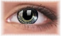 oeil lentille colourvue black gold