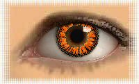 lentille de contact fantaisie couleur color max amber