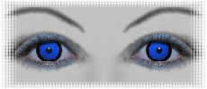 lentilles pour  deguisement carnaval yeux dark elf
