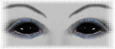 yeux lentilles halloween sclerales black 
