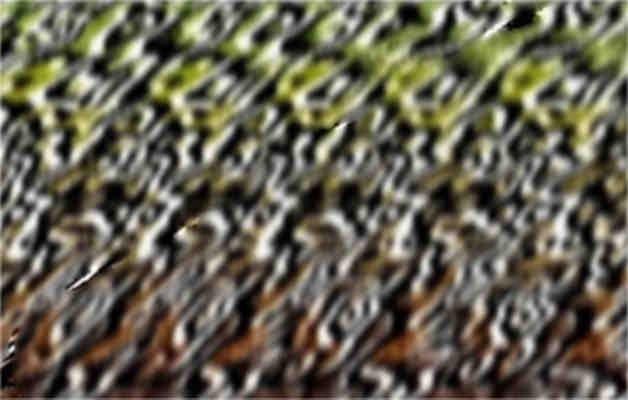 une deuxieme image en relief