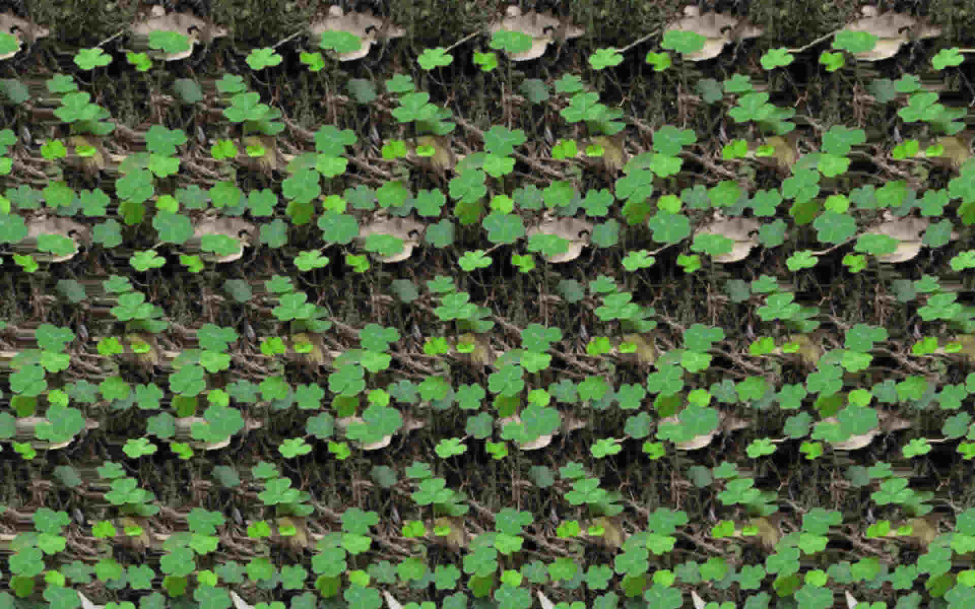 stereogramme en 3 d image plein ecran trefle