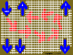 labyrinthe test 1 protanope protanopie daltonisme