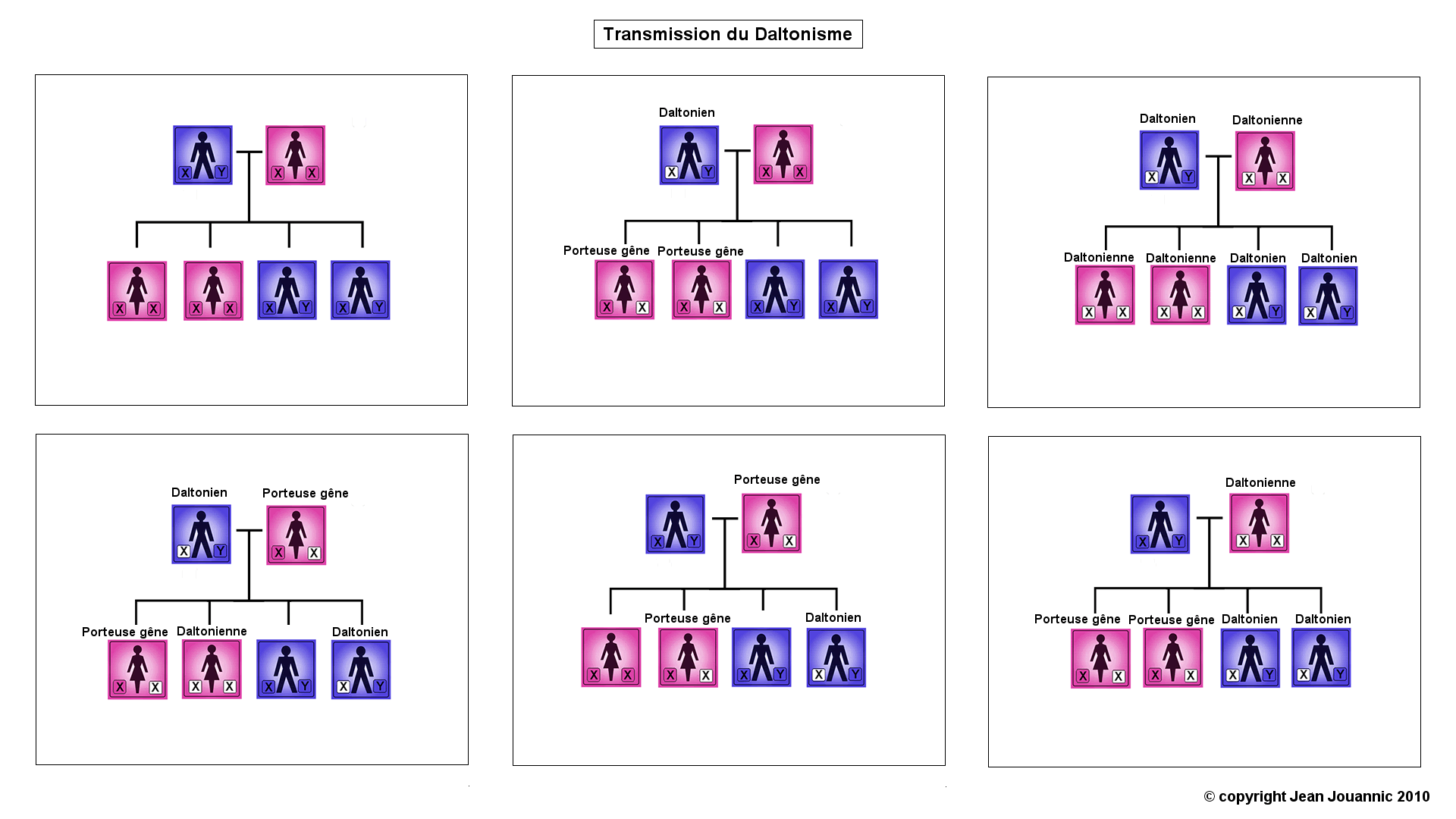 la transmission du daltonisme par un gene du chromosome x